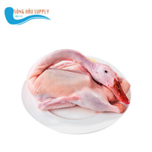 Thịt Vịt Xiêm thả vườn