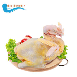 Thịt Gà ta thả vườn