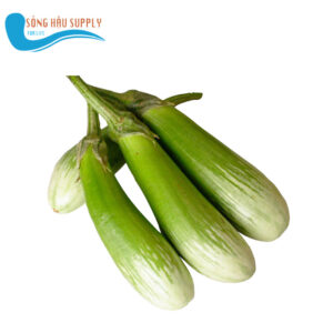 Quả Cà phổi xanh